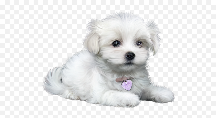 Puppy Images Cartoon Animals Puppy - Perrito Blanco Png Emoji,Maltese Emoji