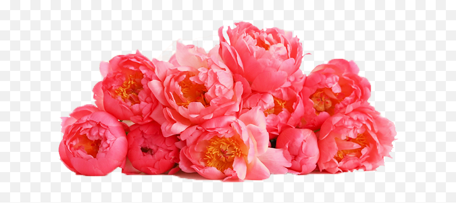 Shop - Farmgirl Flowers Flowers Emoji,Deep Emotion Rose Bouquet Ftd