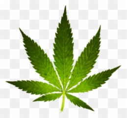 British Columbia - Tweedymileorg Ganja Simbol Emoji,Emotion Charger Kayak For Sale