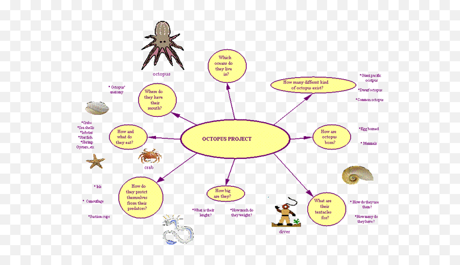 Octopus Project - Function Of Octopus Emoji,Octopus Changing Color To Match Emotion