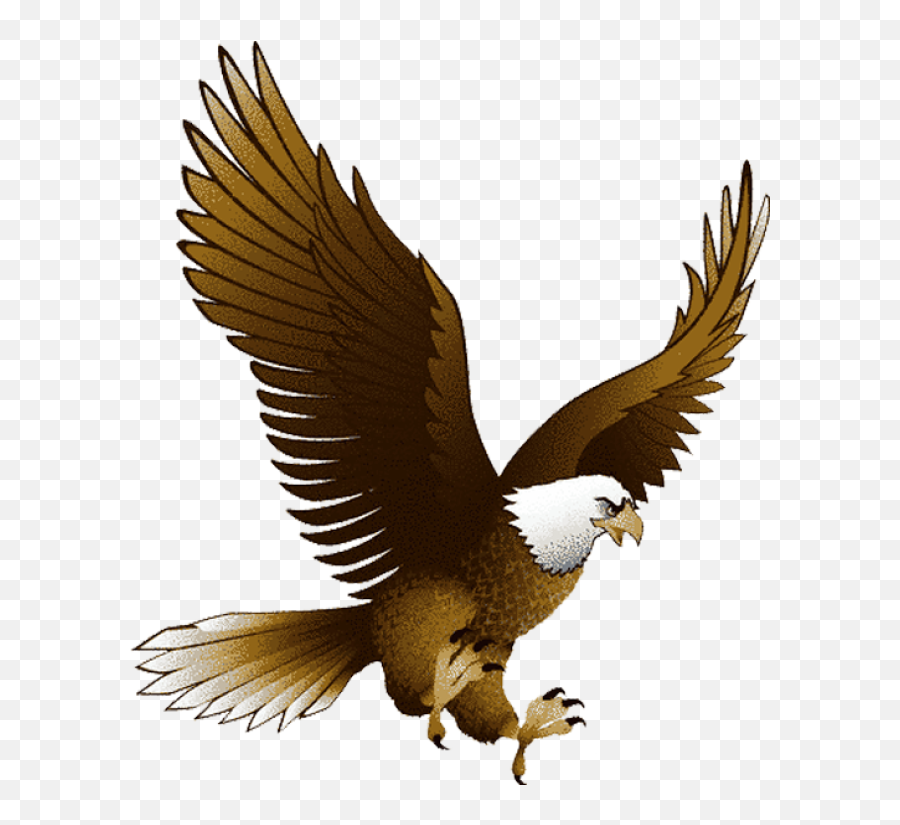 Bald Eagle Free To Use Clipart 2 - Clipartix Eagle Clip Art Emoji,Eagle Emoji