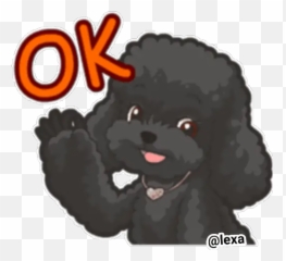 Sticker Maker - Hi P O O D L E S Curly Emoji,Dog Emojis Poodle
