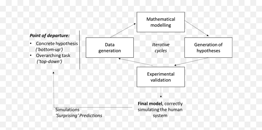 Future Perspective Modelling The Brain - Liverimmune Axis Language Emoji,Interconnectivity Of Color And Human Emotions