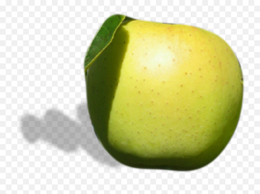 What We Grow Champlain Orchards Emoji,Dark Skinned Emojis