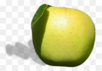 What We Grow Champlain Orchards Emoji,Dark Skinned Emojis