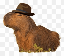 Carpinchos Emoji,Capybara Emoticon