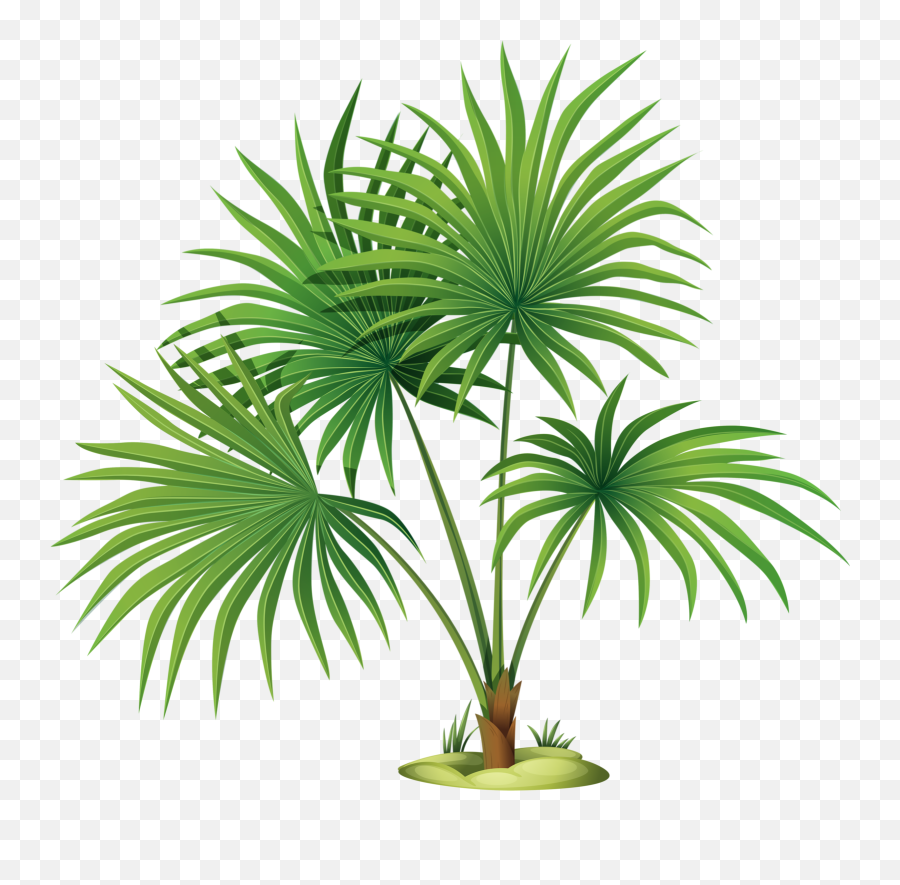 Palm Tree Leaves Clipart Png Download - Palm Tree With Palm Plant Clipart Emoji,Palm Tree Emoticon