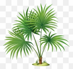 Palm Tree Leaves Clipart Png Download - Palm Tree With Palm Plant Clipart Emoji,Palm Tree Emoticon