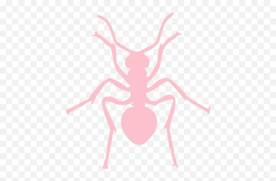 Pink Ant Icon - White Ant Icon Png Emoji,Ant Emoticon