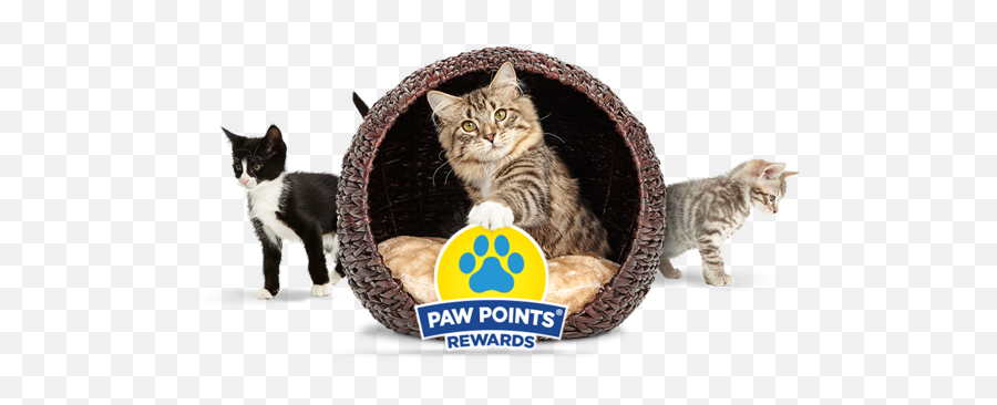 Paw Points Free Cat Rewards - Paw Points Rewards Emoji,Cat Using Litter Box Emoticon