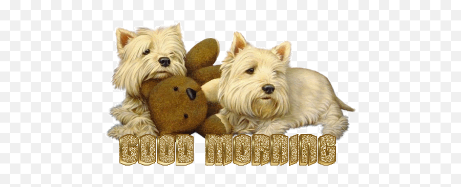 Top West Highland Terrier Stickers For - Good Morning Dogs Gifs Emoji,Westie Dog Emoticon