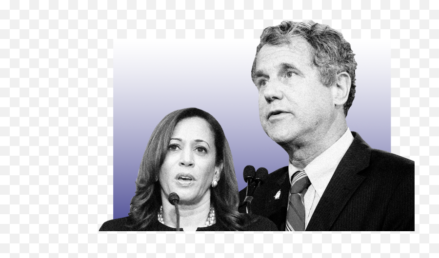 It Undervalues The Intelligence Of The - Harris And Sherrod Brown Emoji,Using Emotion To Win An Argument Rubio