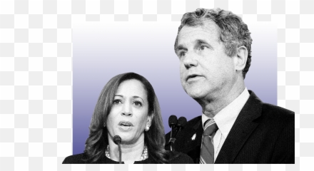 It Undervalues The Intelligence Of The - Harris And Sherrod Brown Emoji,Using Emotion To Win An Argument Rubio