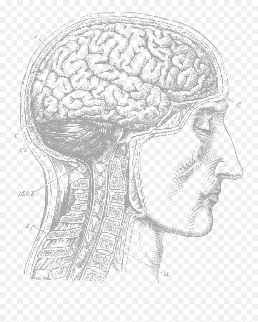 Home - Media Fabrica Human Brain Emoji,Human Emotion Sketch