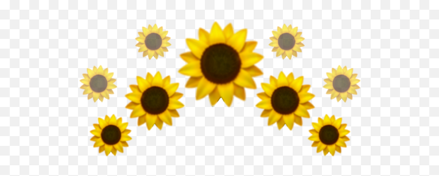Flower Emoji Iphone Png - Transparent Iphone Sunflower Emoji,Sunflower Emoji
