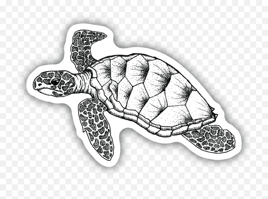 New Products - Stickers Northwest Loggerhead Sea Turtle Emoji,Sea Turtle Emoticon