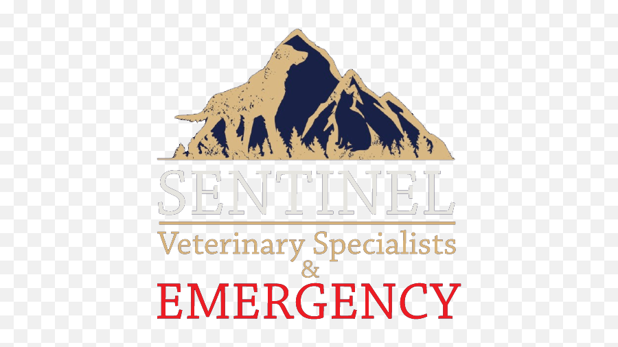 Veterinary Diagnostics In Missoula Mt Sentinel Veterinary - Property Management Emoji,Siemens Somatom Emotion