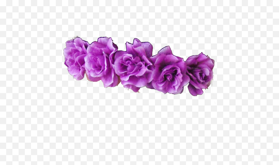 Purple Flower Crown Png Purple Flower Crown Png Transparent - Purple Flower Crown Transparent Emoji,Violet Flower Emoji