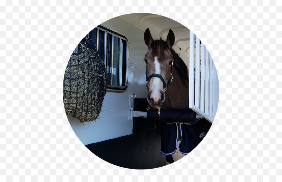 Balanced Ride Trailers Emoji,Facebook Emoticons. Rearing Horse