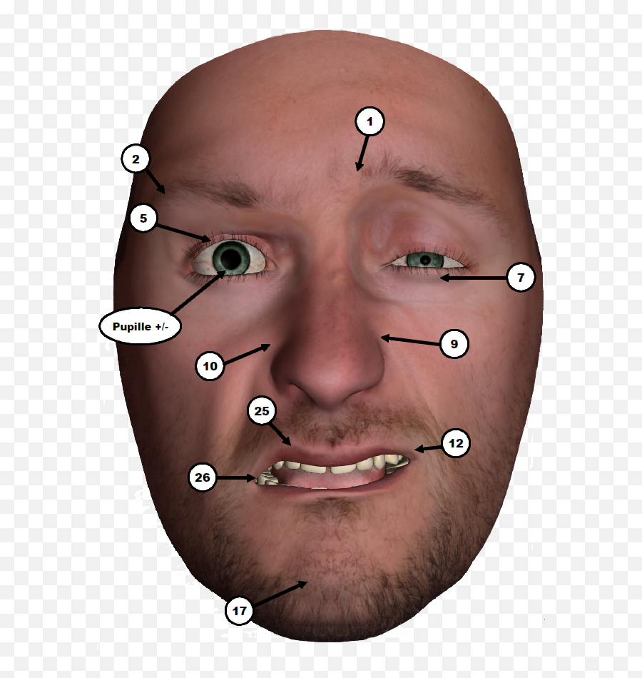 Facshuman A Tool To Create And Design Facial Expressions For - For Adult Emoji,Human Face Emotions
