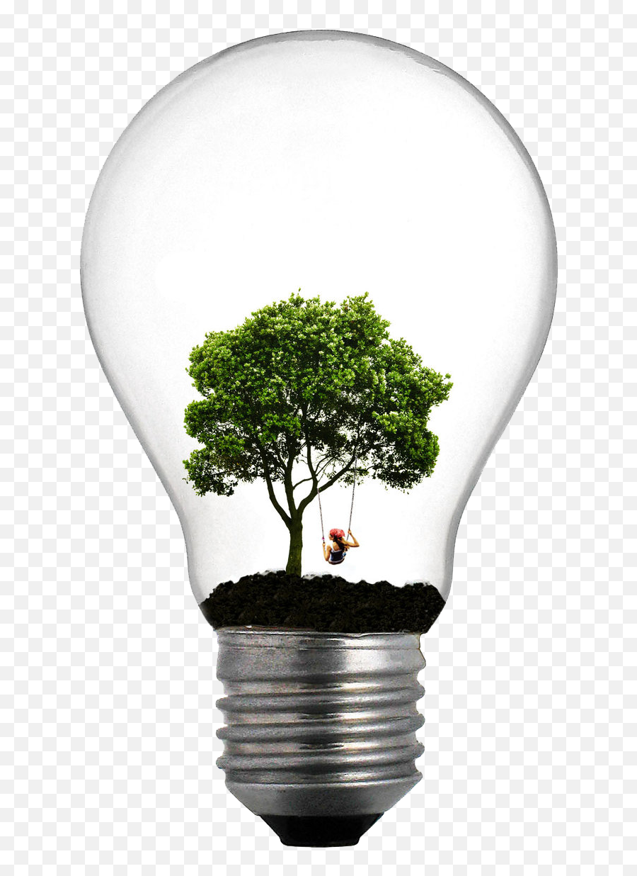 Incandescent Light Bulb Tree Lamp Lighting - Lightbulb Png Png Trees Elevation For Photoshop Emoji,Light Bulb Emoji