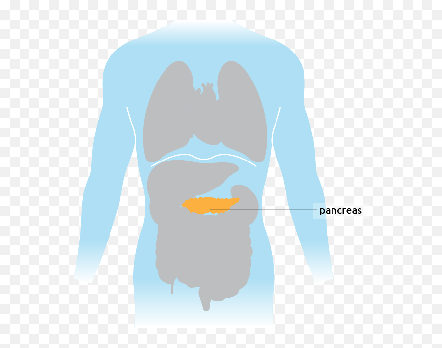 Pancreas - For Adult Emoji,Emotions Spleen Pancreas