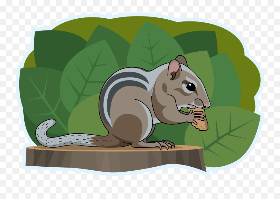 Chipmunks Clipart Free Download Transparent Png Or Vector - Fox Squirrel Emoji,Chipmunk Emoji