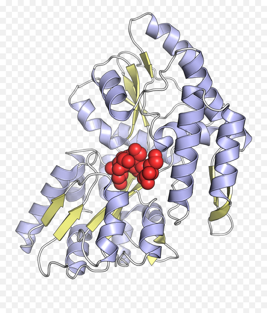 Maltose - Binding Protein Wikipedia Maltose Binding Protein Structure Emoji,Terminus Est Emojis