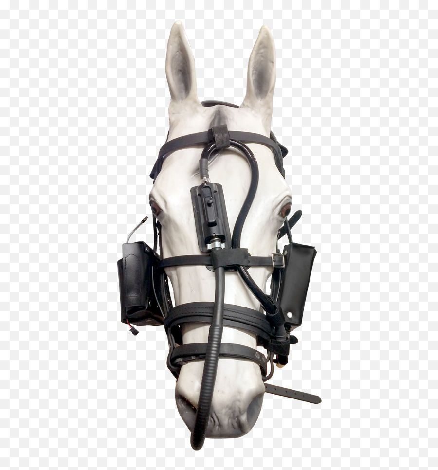Dynamic Equine Exercise Endoscope - Horse Products Emoji,Horse Nose Emotion