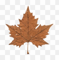 Leaves Leaf Aesthetic Fall Autumn - Aesthetic Vintage Sticker Png Emoji,Fall Leaf Emoji