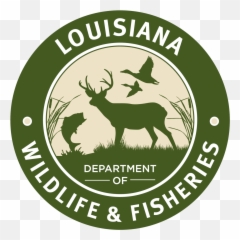 Louisiana Lawmen Arrest Two People As Fishing Tournament Emoji,Emoticon Cheated