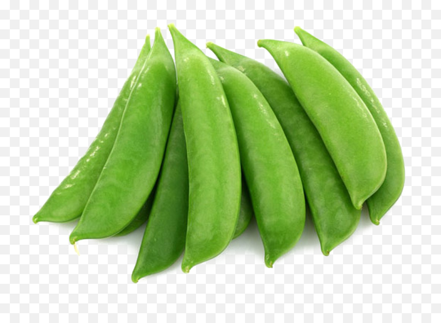 Pea Png Image Transparent Background Png Arts Emoji,Pea Emojis