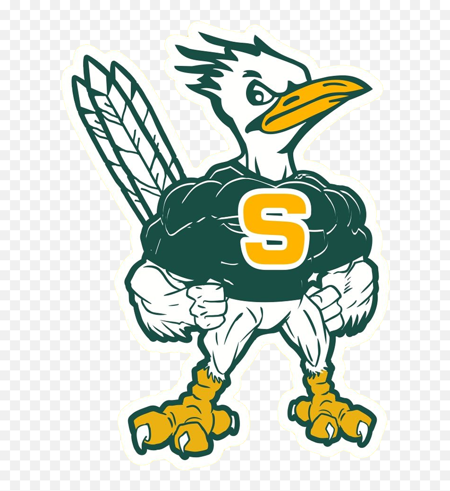 Saddleback High School Overview Emoji,Dalton State College Roadrunners Emojis