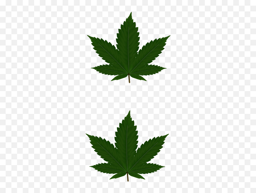 Cannabis Leaf Png Leaves For Pasties Hi Emoji,Eweed Emoji