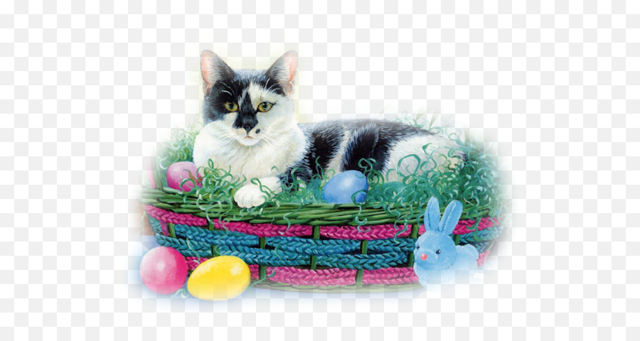 Ostern Gifs Bilder Ostern Bilder Ostern Animationen - Easter Cat Emoji,Emoticons Beweglich Whatsapp