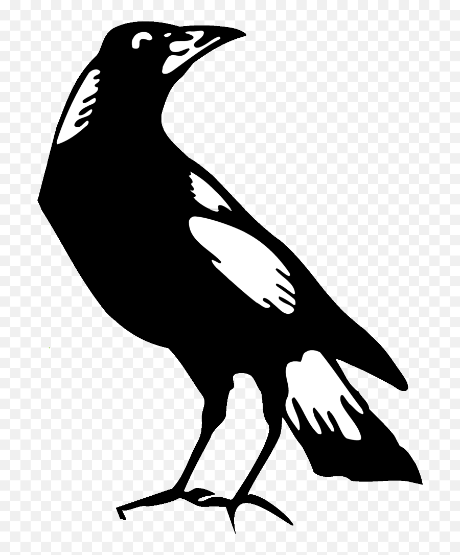 Crow Clipart Urraca Crow Urraca Transparent Free For - Collingwood Magpie Emoji,Emojis Resident Evil Png Transparente