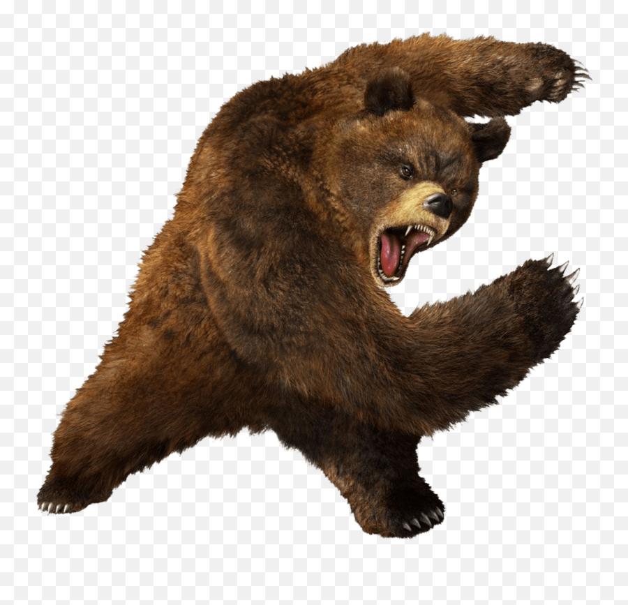 Mq Brown Bear Bears Animal Animals - Bear Png Emoji,Grizzly Bear Emoji Android