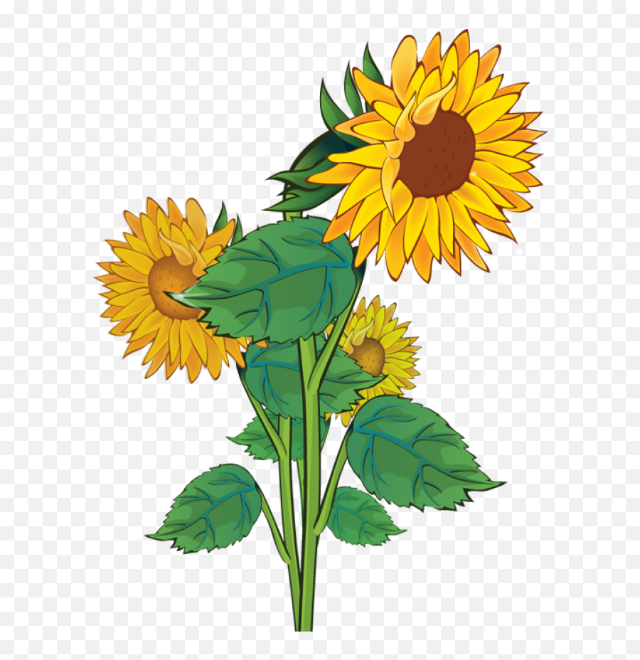 Free Clip Art Sunflowers Dromgao Top - Transparent Background Sunflower Clipart Emoji,Sunflower Emoji