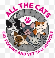 Pet Taxi And Organic Cat Nip - Girly Emoji,Ech Cat Emotion