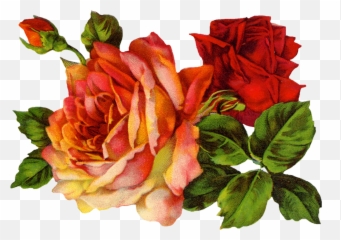 Classical Iconoclast November 2016 Emoji,Roses Are Senstive To Emotion