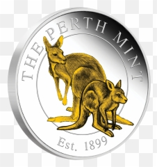 The Perth Mint Personalised Medallions Emoji,Grey Checkbox Emoji