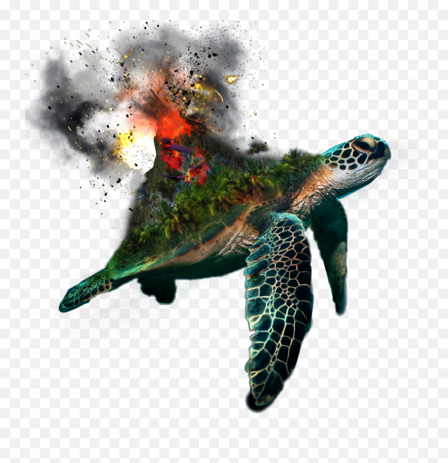 Turtle Volcano Eruption Sticker By Evelyncabantog - Turtle Surrealism Emoji,Erupting Volcano Emoji