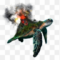 Turtle Volcano Eruption Sticker By Evelyncabantog - Turtle Surrealism Emoji,Erupting Volcano Emoji