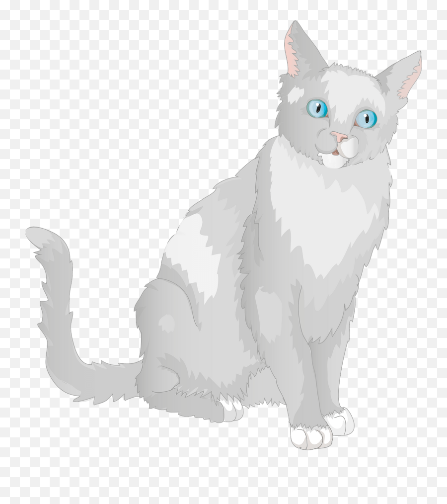 Grey Blue - Eyed Cat Clipart Free Download Transparent Png Soft Emoji,Grumpy Cat Emojis