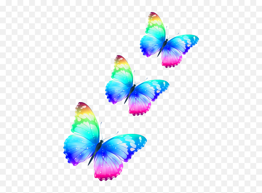 Before And After - Transparent Butterfly Clipart Png Emoji,What Emotion Does Reverse Emotion Nvey