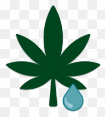 Markets - Sparrow One Emoji,Is There A Weed Leaf Emoticon