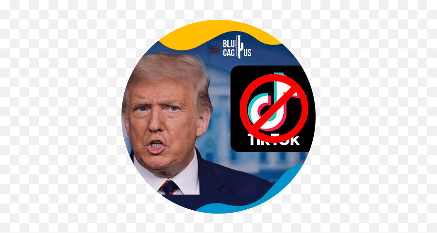 Social Media Archivos Page 5 Of 5 Blucactus Digital Emoji,Usa Presidents Emoticon Trump Joke