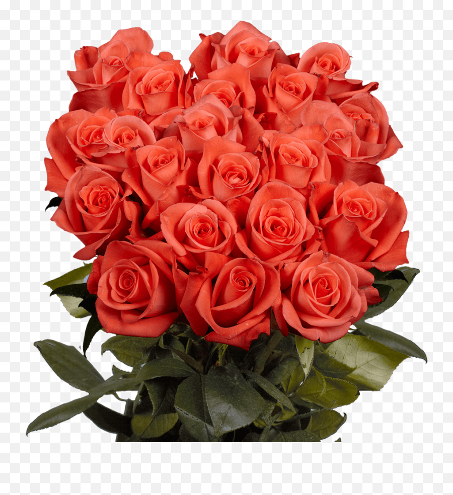 Rose Plus Bouquet Colors May Vary - Walmartcom Emoji,Roses Are Senstive To Emotion