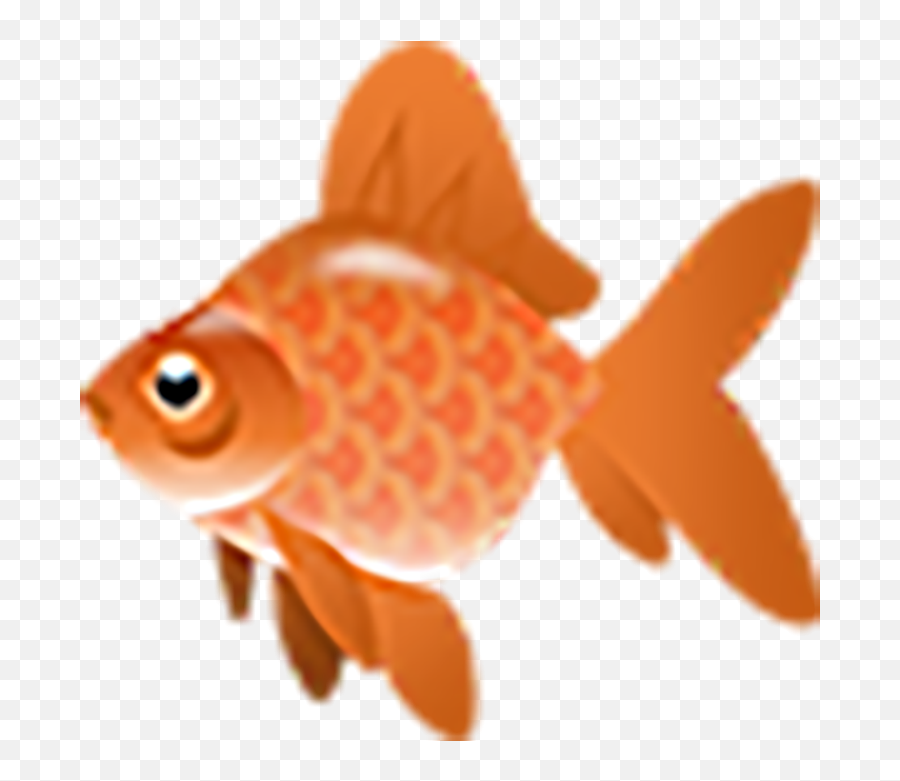 Goldfish Aesthetic Png Images Download 87 - Yourpngcom Emoji,Yellow Black Emojis Aesthetic Png