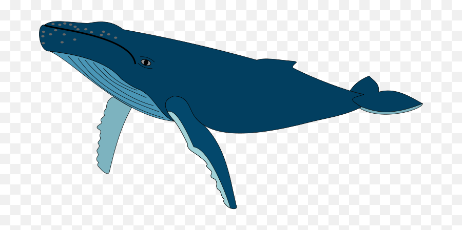 Openclipart - Clipping Culture Emoji,Humpback Whale Emoticon